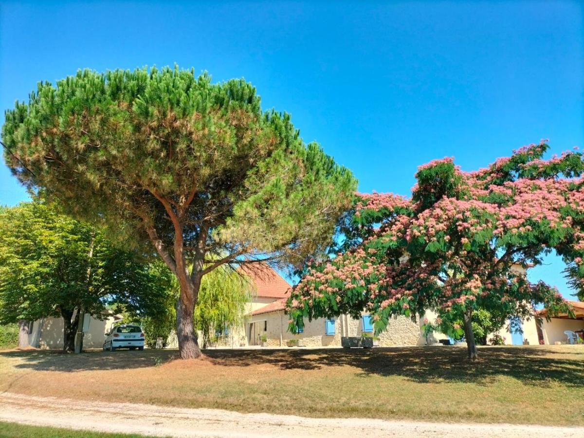 Vila Le Pigeonnier Gersois Condom Exteriér fotografie